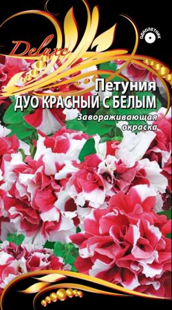 23f14d73426e630f8b84d7a72d243415