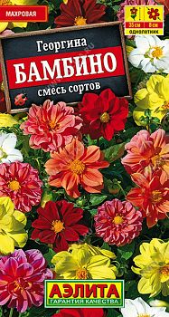 Цветы Георгина Бамбино махровая, смесь ц/п Аэлита *29
