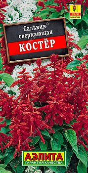 Цветы Сальвия Костер ц/п 0,1г Аэлита*27 Цветы Сальвия Костер ц/п 0,1г Аэлита*27