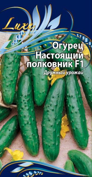 bf712d6aef691bcdadb0c21ce9483790