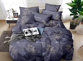 КПБ полисатин Чебоксарский хлопок 2сп+европрост Романтик