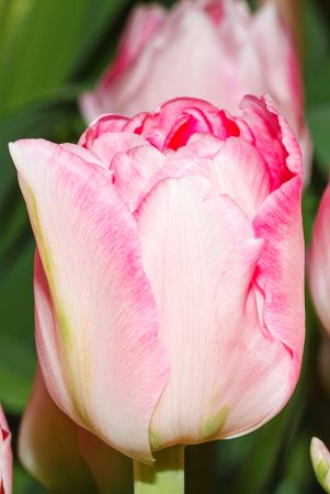 e0atfuvp1newgb4migl6s2ujva2z49y4