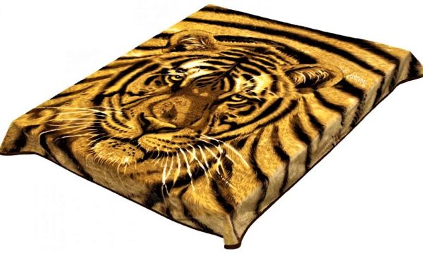 pled-morda-tigra-safari-160x220-polutornyy-smoon_1