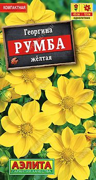 Цветы Георгина Румба желтая ц/п Аэлита *27 Цветы Георгина Румба желтая ц/п Аэлита *27