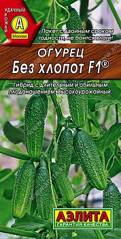 Огурец Без хлопот F1 ц/п Аэлита*29