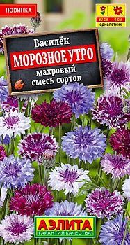Цветы Василек махр. Морозное утро ц/п Аэлита*27