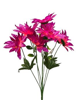 Георгин 9голов 55см 2/20