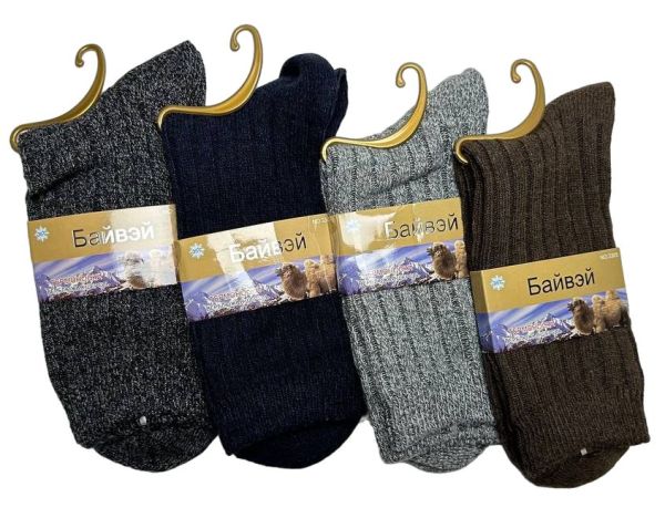 photo_5386643211667231483_y-PhotoRoom.png-PhotoRoom_1