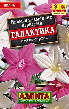 Цветы Ипомея Квамоклит Галактика смесь лидер Аэлита *27 Цветы Ипомея Квамоклит Галактика смесь лидер Аэлита *27