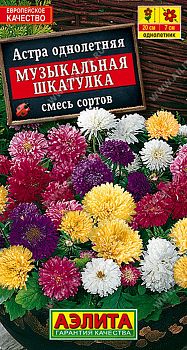 Цветы Астра Музыкальная шкатулка ц/п Аэлита*29