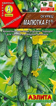 Огурец Малютка F1 ц/п Аэлита*29 по 10шт