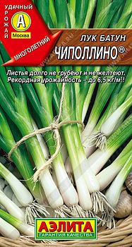 Лук батун Чиполлино ц/п Аэлита *29