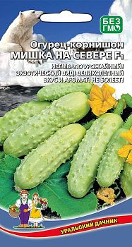 Огурец Мишка на севере - корнишон F1 ц/п Марс