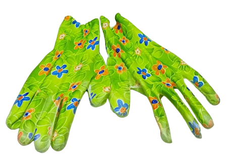 224364-PhotoRoom.png-PhotoRoom