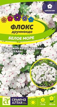 Цветы Флокс Белое Море друммонда/Сем Алт/цп 0,1 гр. (2026 / 21760) Цветы Флокс Белое Море друммонда/Сем Алт/цп 0,1 гр. (2026 / 21760)