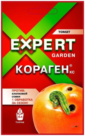 томат_1