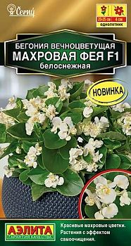 Цветы Бегония Фея F1 вечноцвет,махр, белоснежная ц/п Аэлита*28 Цветы Бегония Фея F1 вечноцвет,махр, белоснежная ц/п Аэлита*28