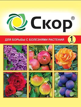 Скор 1мл ВХ (защита плодовых и декоративных культур) 1/200