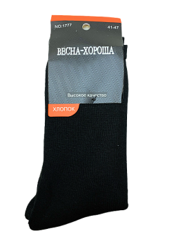 Носки Мужские махровые Весна 1777  12/288