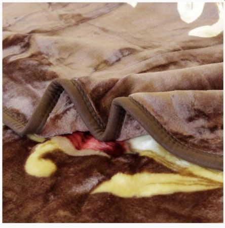 14491 пион (2)_1