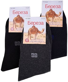 Носки м. мах. Берёза В29 термо 12/360