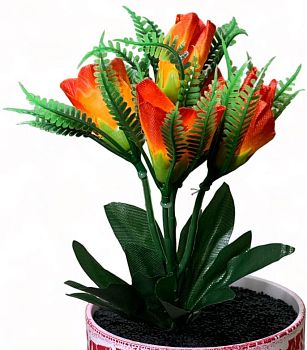 Крокус 5голов 25см 10/100