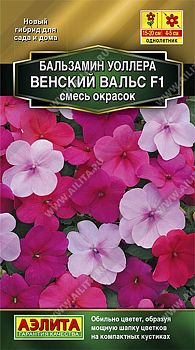 Цветы Бальзамин Венский вальс F1 смесь ц/п 5шт Аэлита*28 Цветы Бальзамин Венский вальс F1 смесь ц/п 5шт Аэлита*28