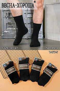 Носки М. мах. Весна 1874 288/12