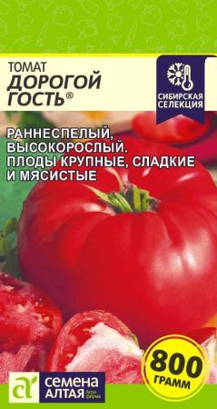 27533