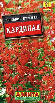 Цветы Сальвия Кардинал ц/п 0,1г Аэлита*27 од Цветы Сальвия Кардинал ц/п 0,1г Аэлита*27 од