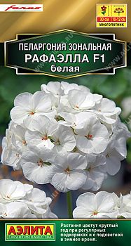 Цветы Пеларгония Рафаэлла F1 белая ц/п  5шт Аэлита *28 Цветы Пеларгония Рафаэлла F1 белая ц/п  5шт Аэлита *28