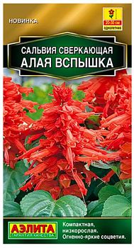Цветы Сальвия сверкающая Алая вспышка ц/п Аэлита *28