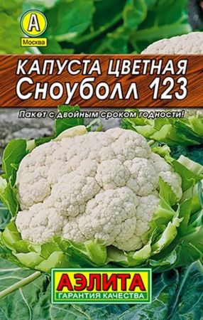 25_1