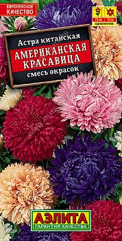 Цветы Астра Американская красавица смесь ц/п 0,2г Аэлита*27 Цветы Астра Американская красавица смесь ц/п 0,2г Аэлита*27