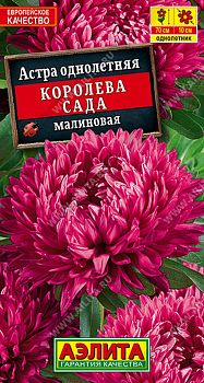 Цветы Астра Королева сада малиновая ц/п 0,2г Аэлита*27 Цветы Астра Королева сада малиновая ц/п 0,2г Аэлита*27