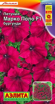 Цветы Петуния Марко Поло F1 бургунди ц/п Аэлита *27 по 10шт