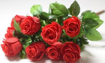 Роза 9голов 50см 1/10