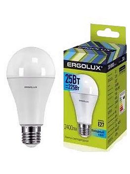 Лампа светодиодная Ergolux LED -A65-25W-E27-4K 10/10
