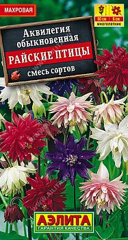 Цветы Аквилегия Райские птицы смесь ц/п 0,2г Аэлита*28 Цветы Аквилегия Райские птицы смесь ц/п 0,2г Аэлита*28