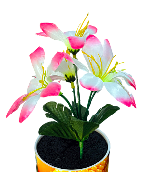 Лилия бордюрная 25см 10/100