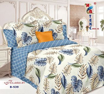 КПБ поплин Ивтекс 2сп+европрост B-539 Пелагея 135г/м2