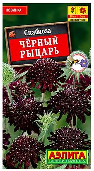 Цветы Скабиоза Черный рыцарь ц/п Аэлита*27 Цветы Скабиоза Черный рыцарь ц/п Аэлита*27