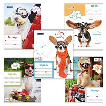 Тетрадь 24л КЛЕТ "My Best Friend" BRAUBERG картон обложка 20шт 403007