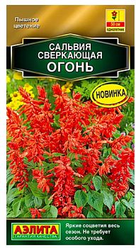 Цветы Сальвия сверкающая Огонь ц/п Аэлита *28 Цветы Сальвия сверкающая Огонь ц/п Аэлита *28