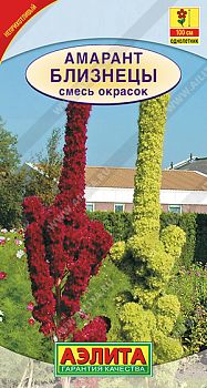 Цветы Амарант Близнецы, смесь окрасок ц/п Аэлита *24 по 10шт Цветы Амарант Близнецы, смесь окрасок ц/п Аэлита *24 по 10шт