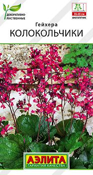 Цветы Гейхера Колокольчики ц/п Аэлита *28