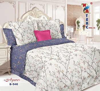 КПБ поплин Ивтекс 2сп+европрост B-540 Аргус 135г/м2