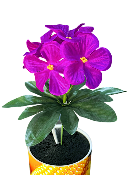 Фиалка бордюрная 25см 10/100