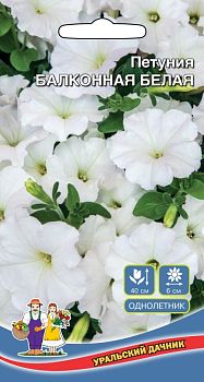 Цветы Петуния Балконная Белая ц/п Марс Цветы Петуния Балконная Белая ц/п Марс