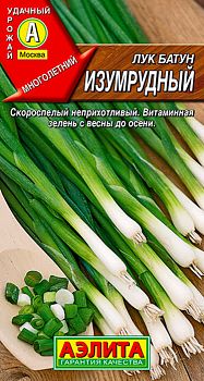 Лук батун Изумрудный пикант ц/п Аэлита*28